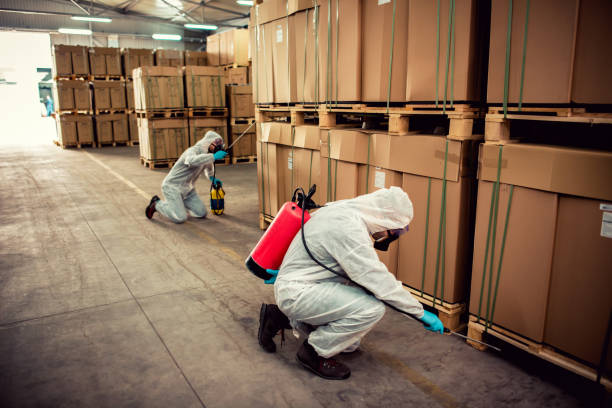 Best Residential Pest Control  in Vaville, CA