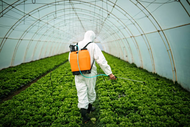 Best Emergency Pest Control  in Vaville, CA