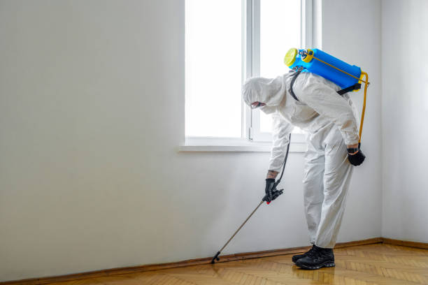 Best Pest Control Near Me  in Vaville, CA