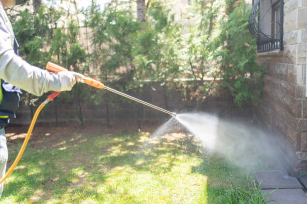 Trusted Vacaville, CA Pest Control Experts