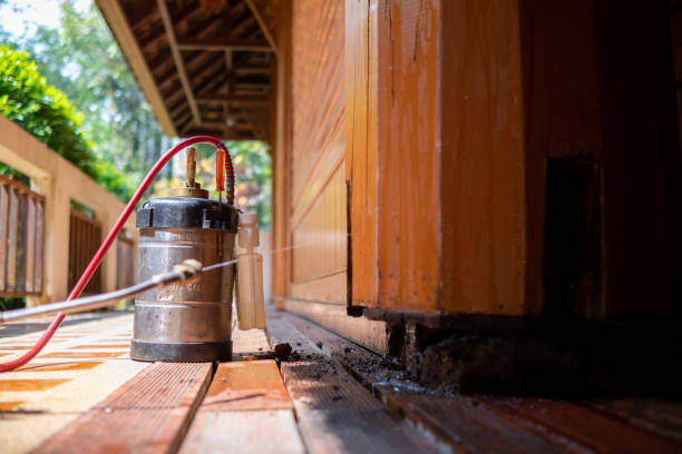 Best Exterminator Services  in Vaville, CA