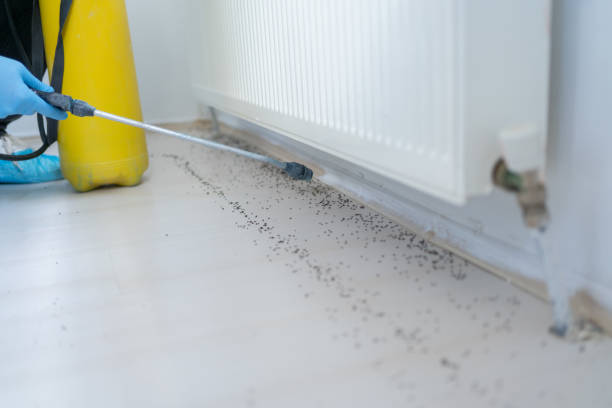 Best Pest Control Treatment  in Vaville, CA