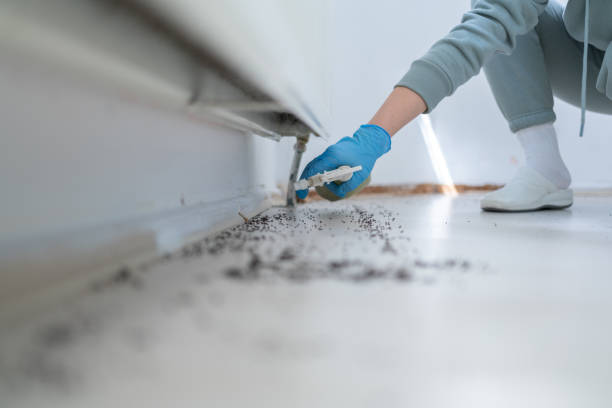  Vaville, CA Pest Control Pros